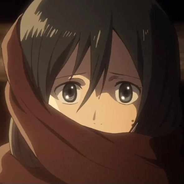 Mikasa scarf